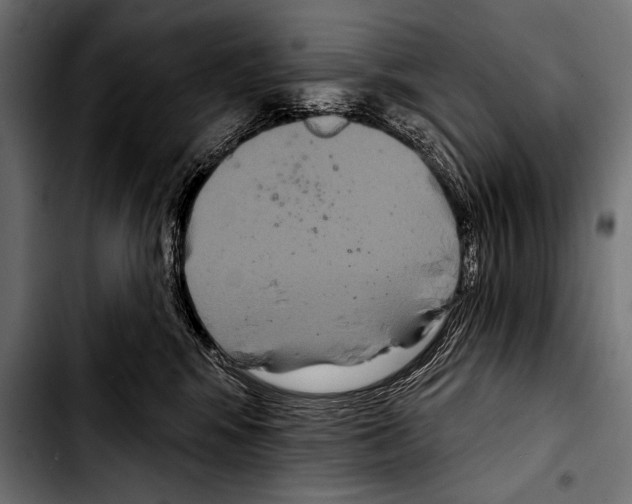 X0000103320424200810171406