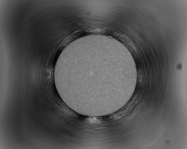 X0000103320425200810171406