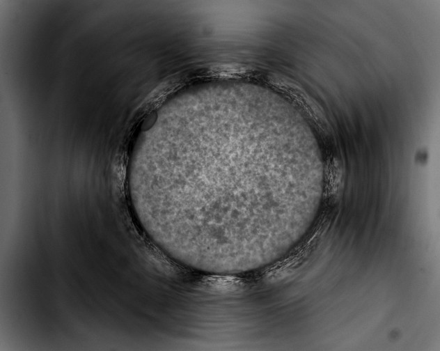 X0000103320427200810171406