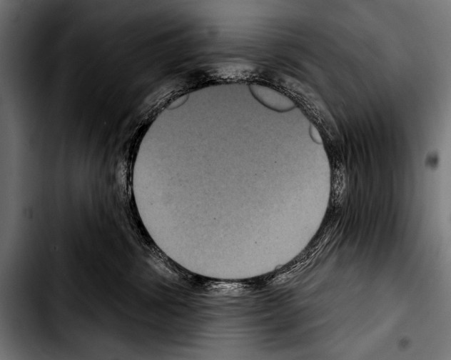 X0000103320428200810171406