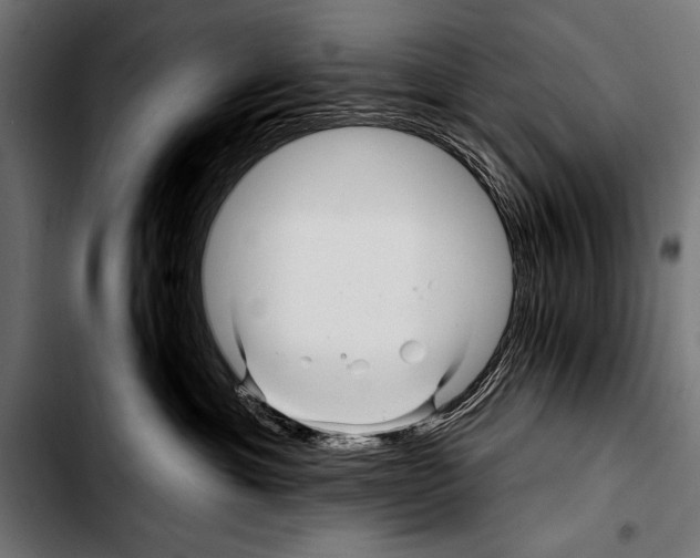 X0000103320429200810171406