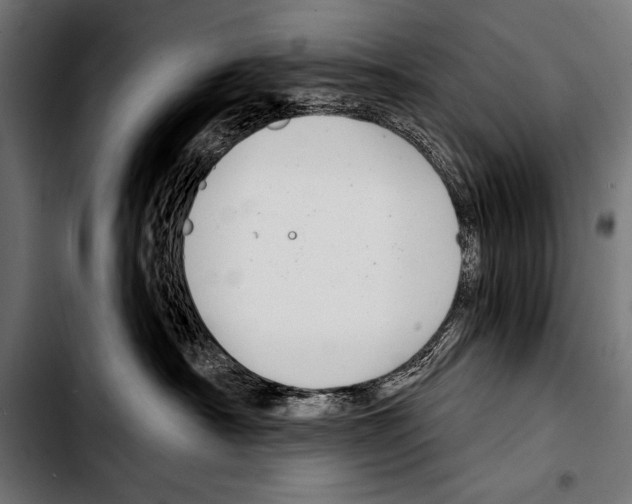 X0000103320430200810171406