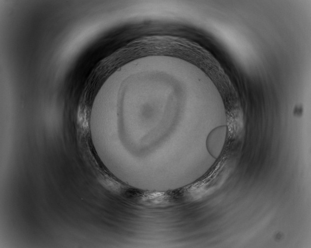 X0000103320431200810171406