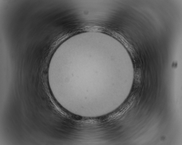 X0000103320433200810171405