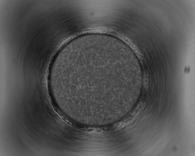 X0000103320434200810171405