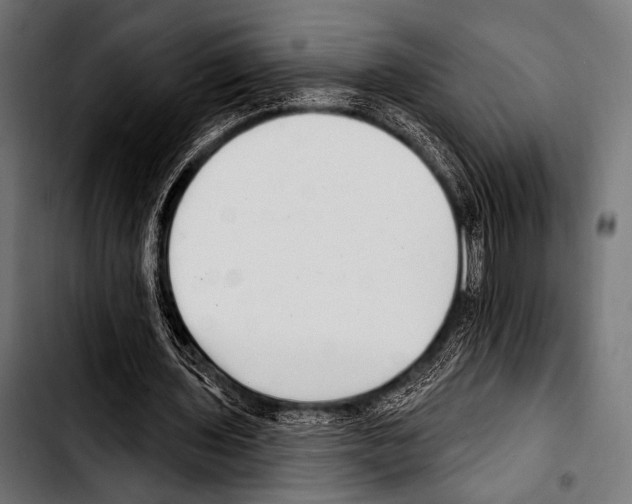 X0000103320435200810171405