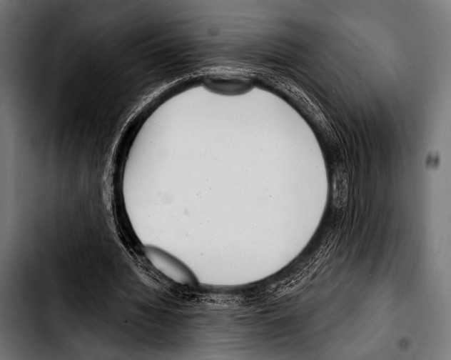 X0000103320436200810171405