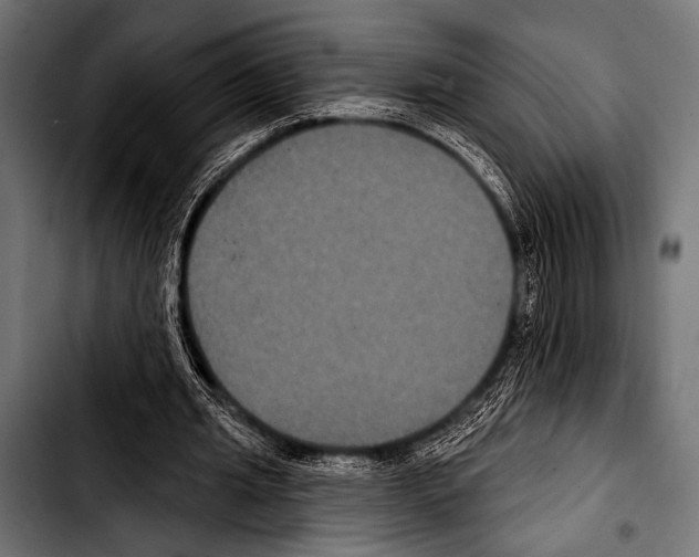 X0000103320437200810171405
