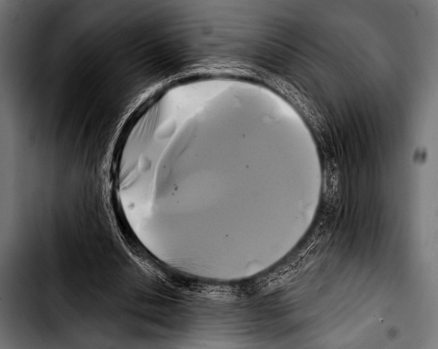 X0000103320438200810171405