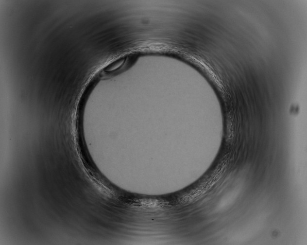 X0000103320439200810171405