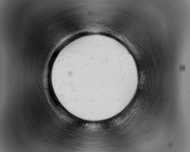 X0000103320440200810171405