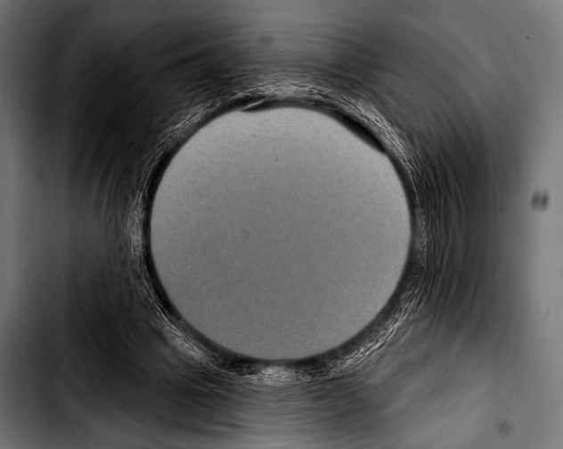 X0000103320441200810171405