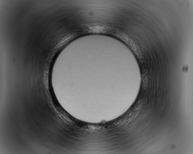X0000103320442200810171405