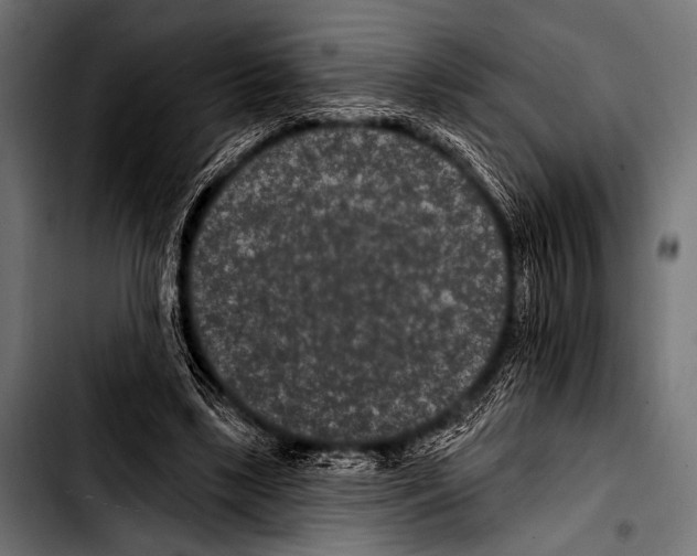 X0000103320443200810171405