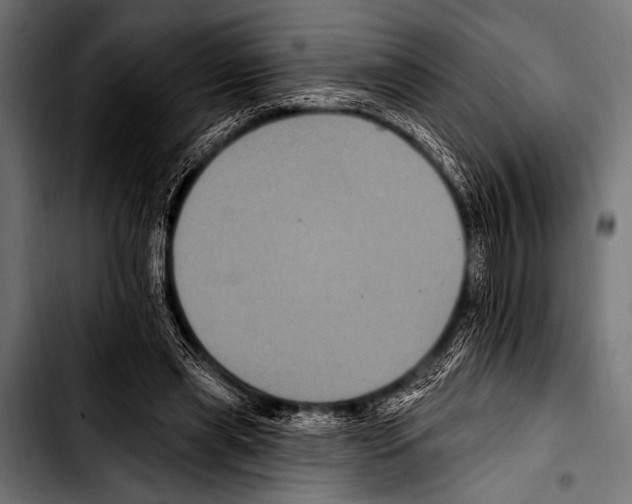 X0000103320445200810171405