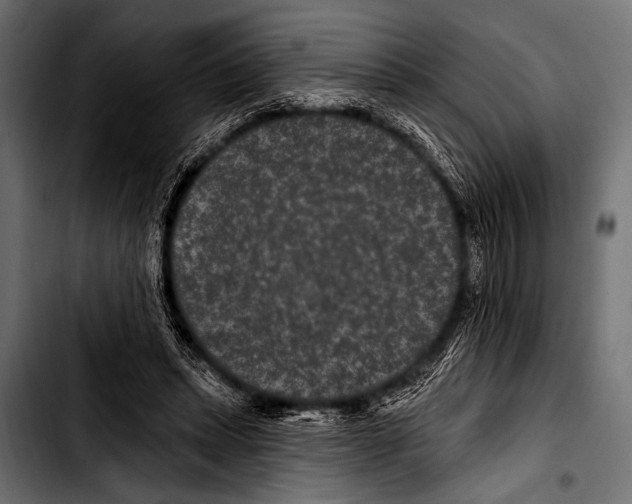 X0000103320447200810171405