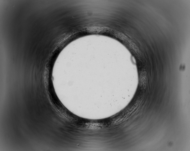 X0000103320448200810171405