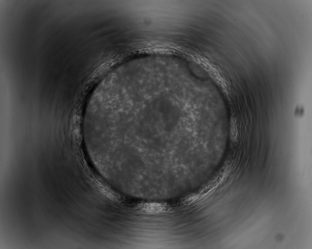 X0000103320449200810171405