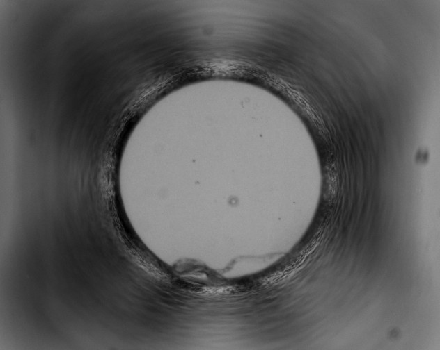 X0000103320450200810171405