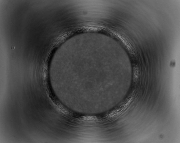 X0000103320451200810171405