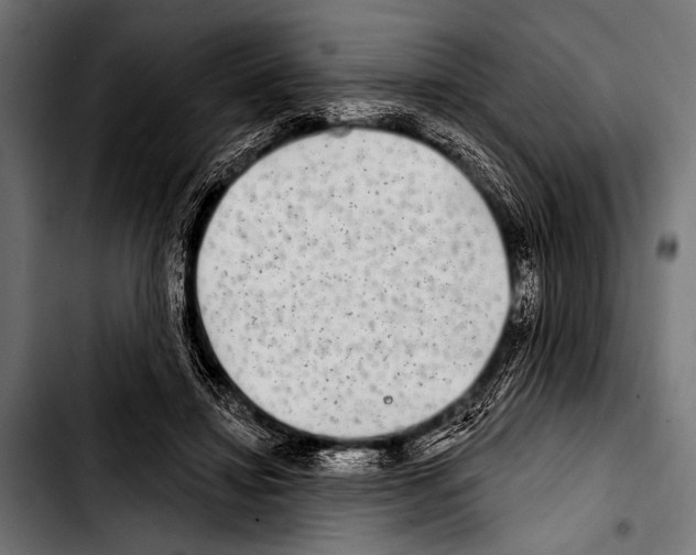 X0000103320452200810171405