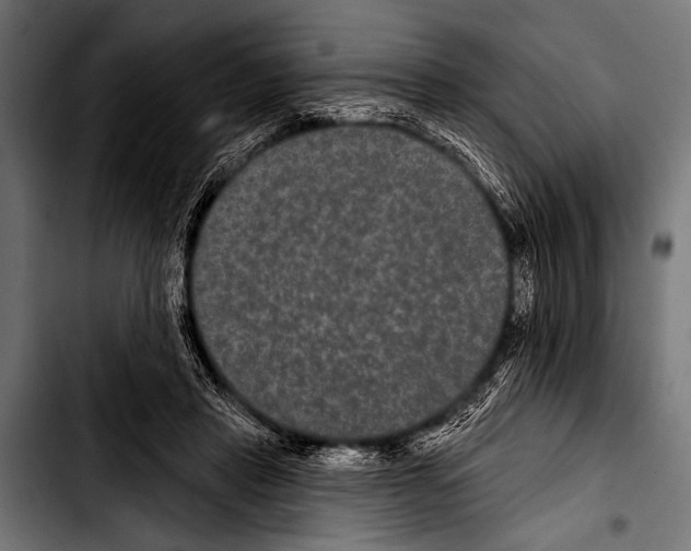 X0000103320453200810171405
