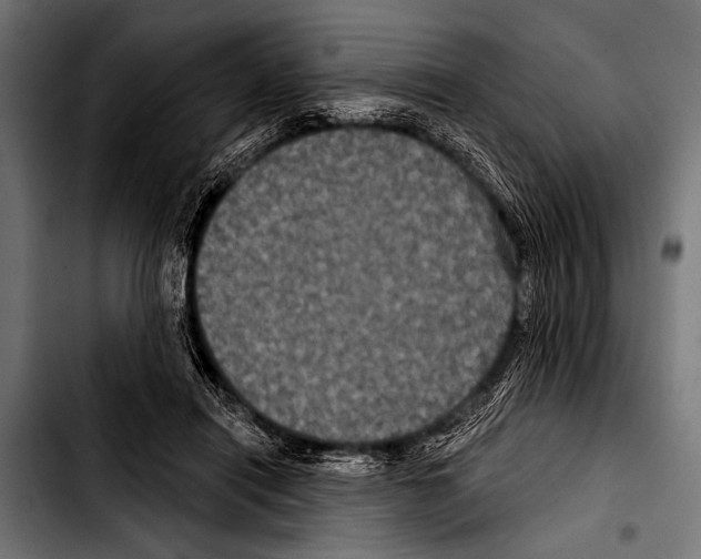 X0000103320454200810171405