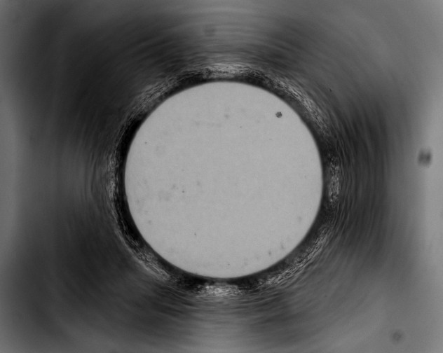 X0000103320455200810171405
