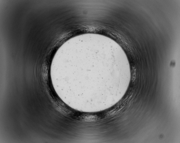 X0000103320456200810171405