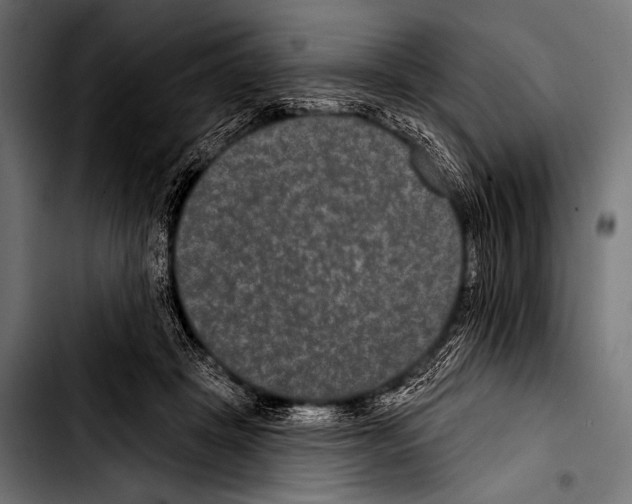 X0000103320457200810171405