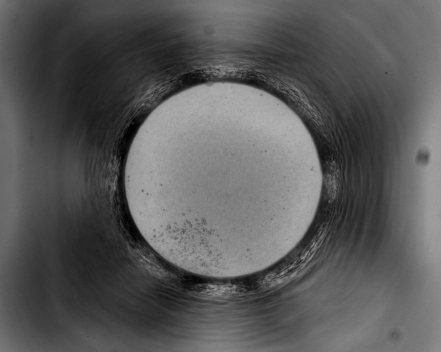 X0000103320458200810171405