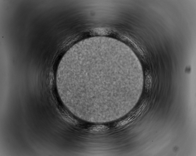 X0000103320459200810171405