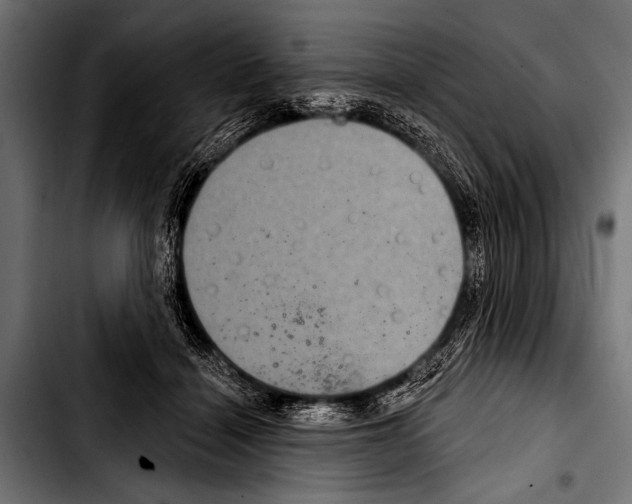 X0000103320460200810171405