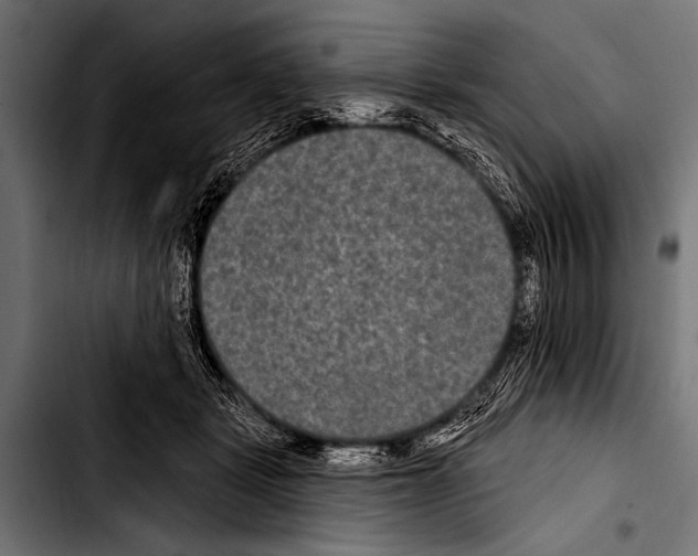 X0000103320461200810171405