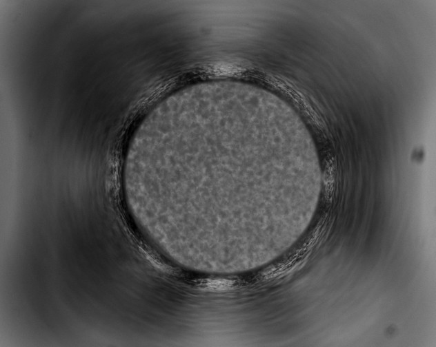 X0000103320462200810171405