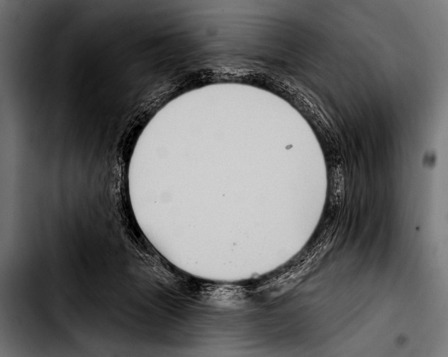 X0000103320463200810171405