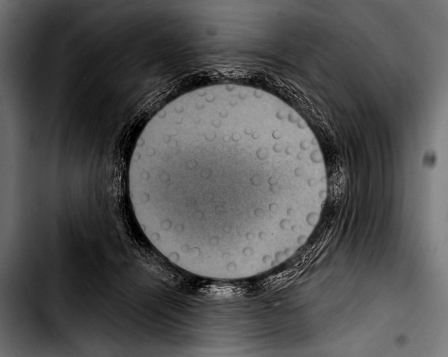 X0000103320464200810171405