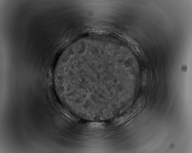 X0000103320465200810171406