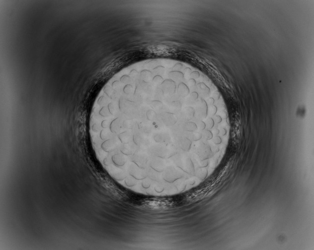 X0000103320466200810171406