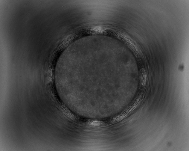 X0000103320467200810171406