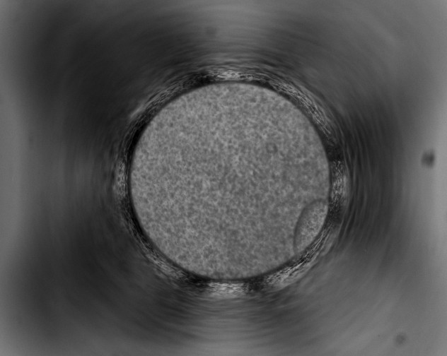 X0000103320469200810171406