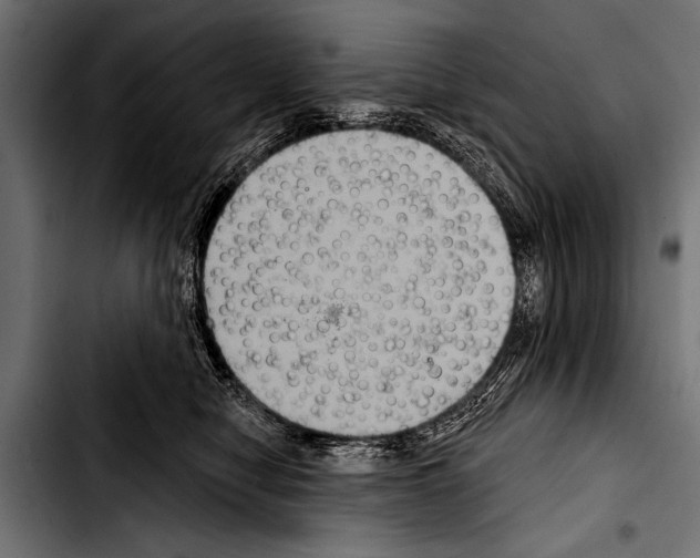 X0000103320470200810171406