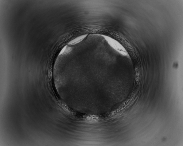 X0000103320471200810171406