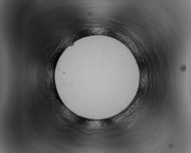 X0000103320473200810171406