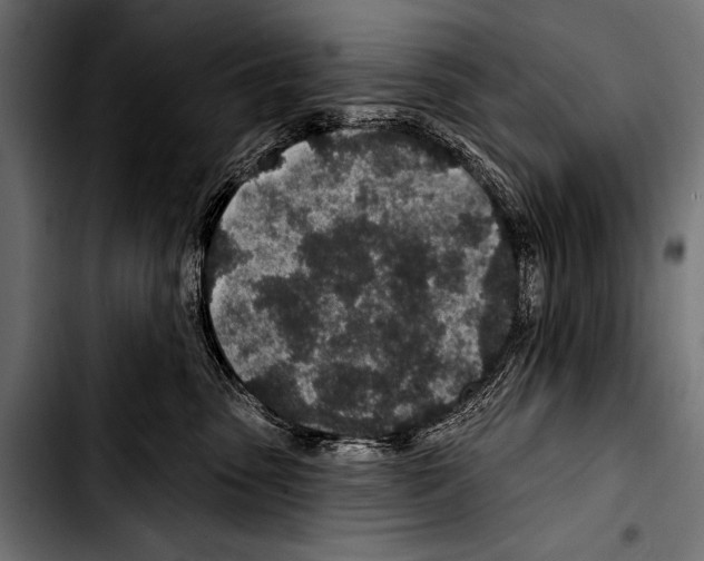 X0000103320475200810171406