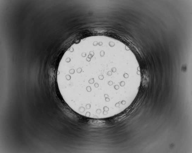 X0000103320476200810171406