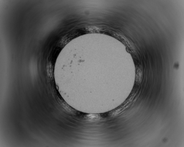 X0000103320477200810171406