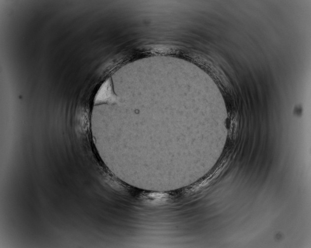 X0000103320478200810171406