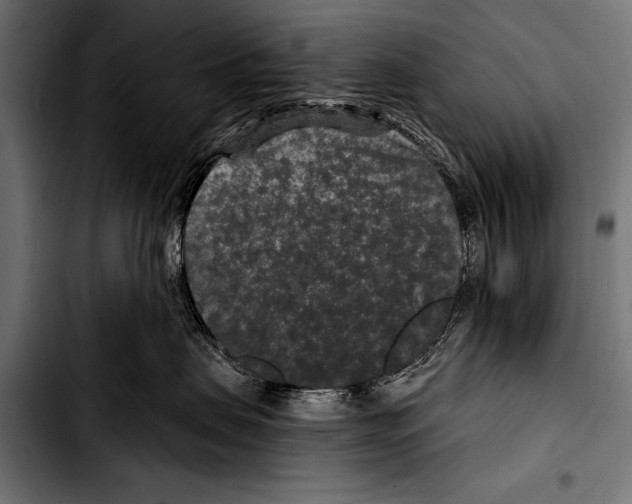 X0000103320479200810171406