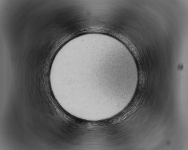 X0000103320481200810171405